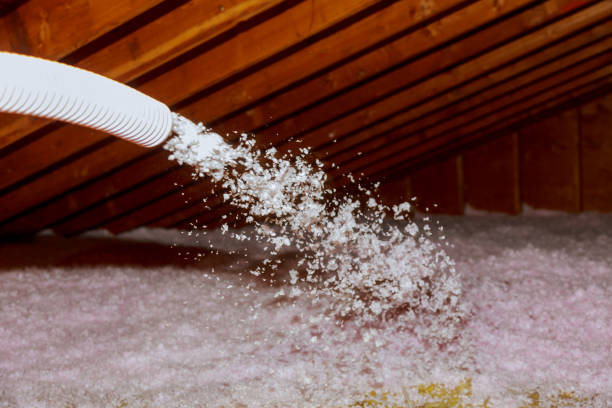 Best Eco-Friendly Insulation in South Fallsburg, NY